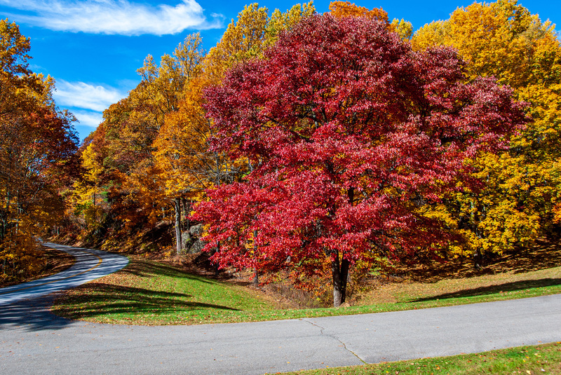 87 Blue Ridge PKWY(2).jpg