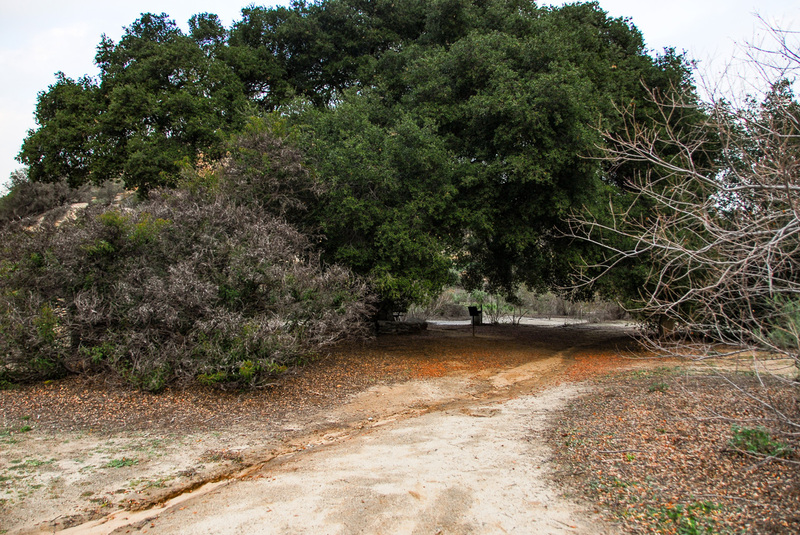 89  Simi Valley.jpg