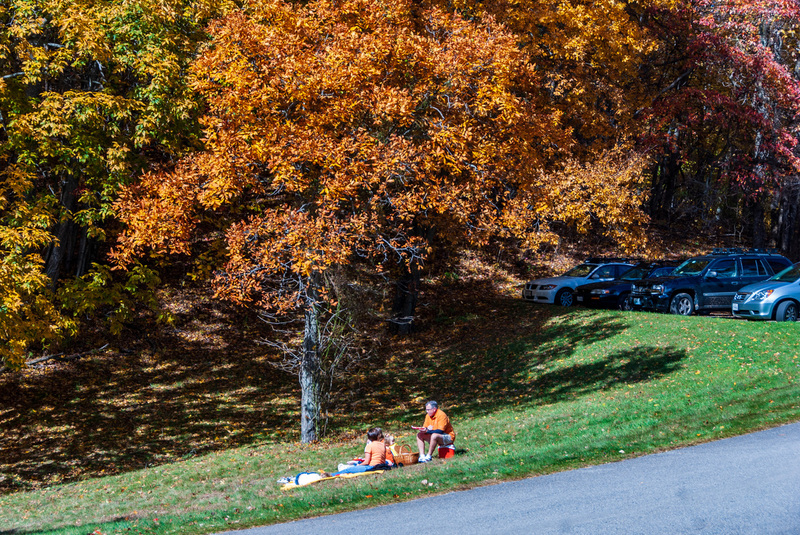 89 Blue Ridge PKWY(2).jpg