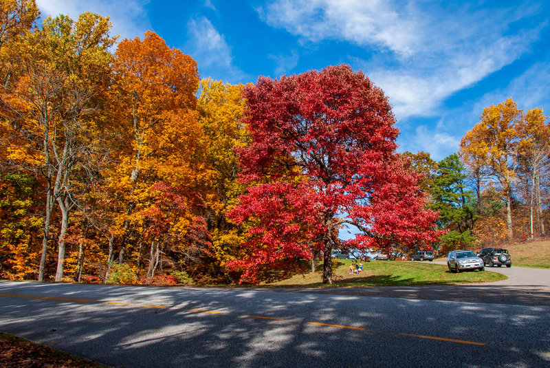 90 Blue Ridge PKWY(2).jpg
