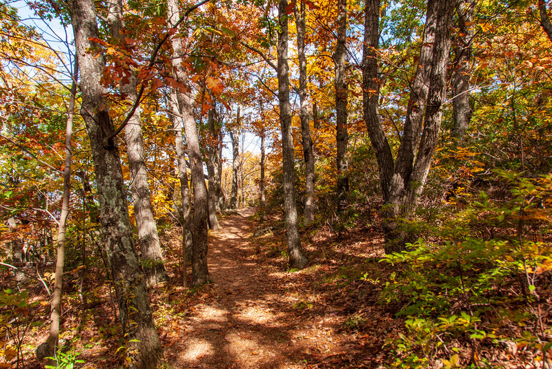 94 Blue Ridge PKWY(1).jpg
