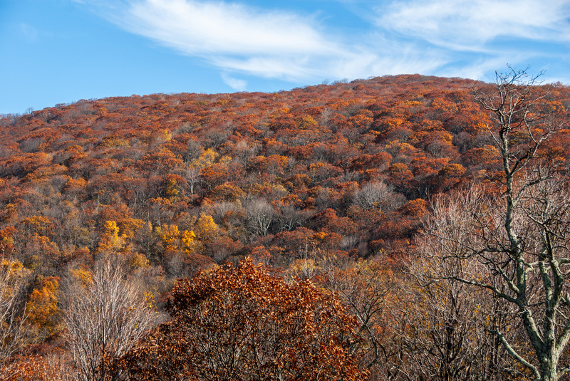 96 Blue Ridge PKWY 98(2).jpg
