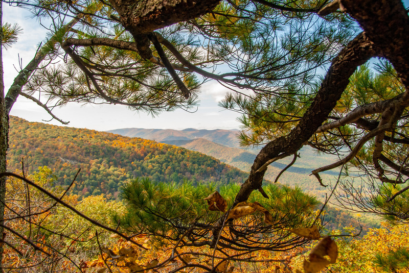 97 Blue Ridge PKWY(1).jpg