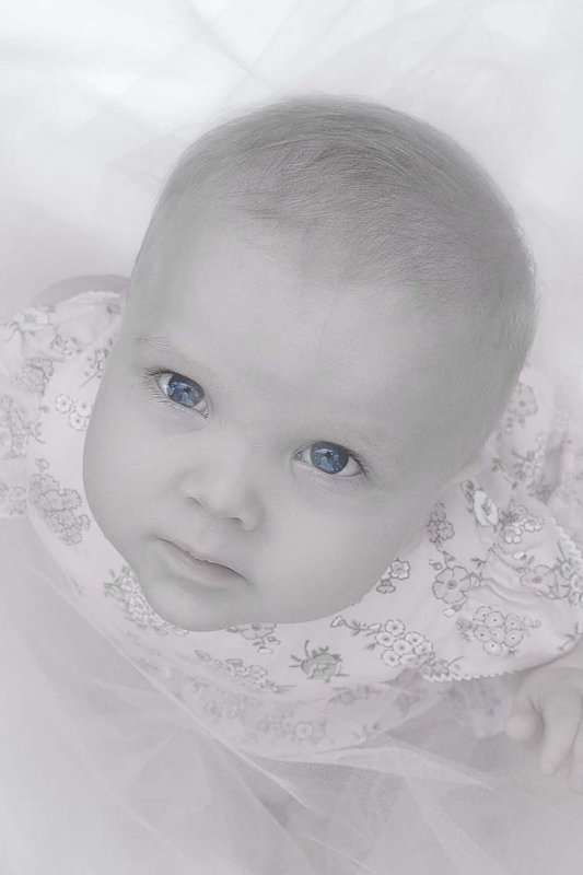 Baby Portraits - AE Photography 1.jpg :: Baby Portraits - AE Photography