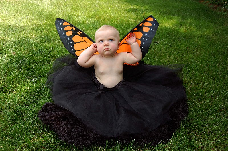 Baby Portraits - AE Photography 18.jpg :: Baby Portraits - AE Photography