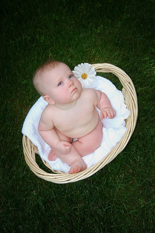 Baby Portraits - AE Photography 2.jpg :: Baby Portraits - AE Photography