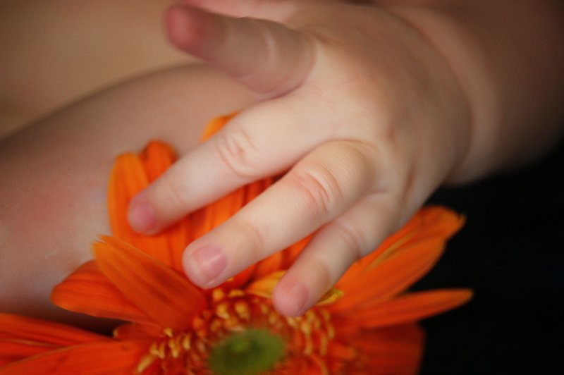 Baby Portraits - AE Photography 4.jpg :: Baby Portraits - AE Photography