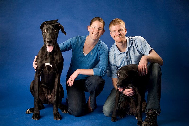 Pet Photographer Kansas City AE Photography 39.jpg