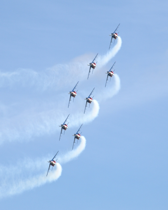 DASSAULT ALPHA JET PATROUILLE DE FRANCE P1017182(1).jpg