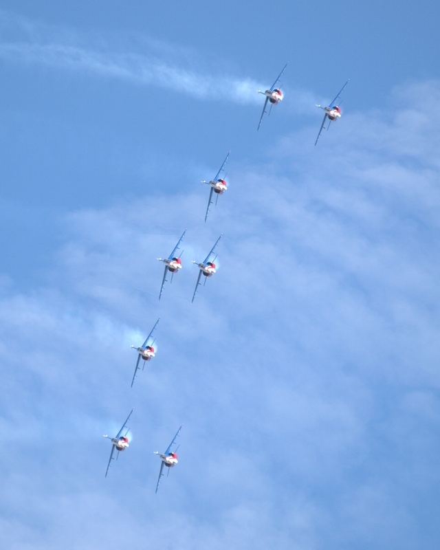 DASSAULT ALPHA JET PATROUILLE DE FRANCE P1017196(1).jpg