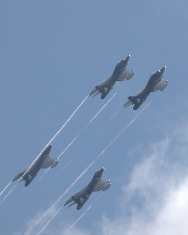 HAWKER HUNTER TEAM VIPER P7101840(1).jpg