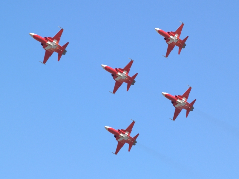 NORTHROP F-5 TIGER PATROUILLE SUISSE P1012370(1).jpg