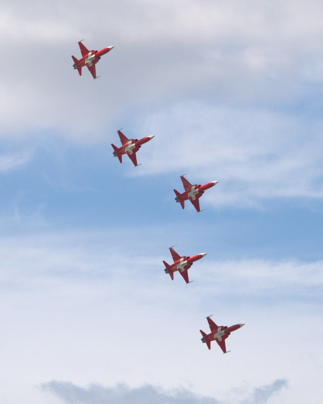 NORTHROP F-5 TIGER PATROUILLE SUISSE P1012577(1).jpg