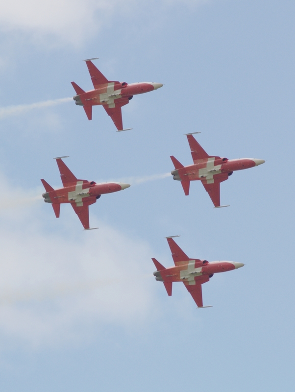 NORTHROP F-5 TIGER PATROUILLE SUISSE P7067958(1).jpg