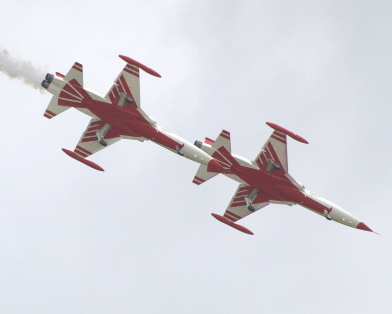 NORTHROP F-5 TIGER TURKISH STARS P7107762(1).jpg