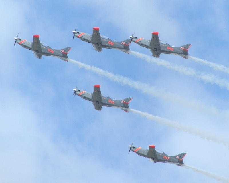 PZL-130 ORLIK ORLIK AEROBATIC GROUP P1010241.jpg