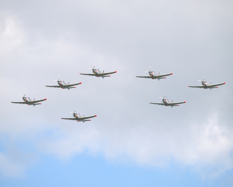 PZL-130 ORLIK ORLIK AEROBATIC GROUP P1013106.jpg