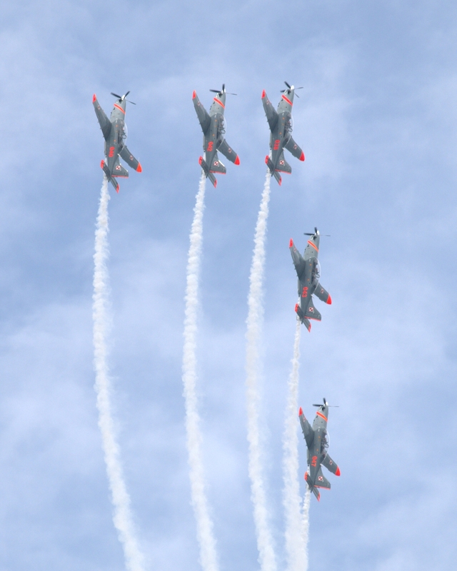 PZL-130 ORLIK ORLIK AEROBATIC GROUP P1015551.jpg