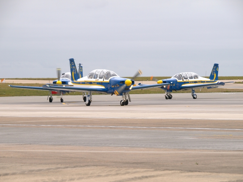 SOCATA TB30 EPSILON CARTOUCHE DORE F-SEZF F-SEXS F-SEXR P9095058(1).jpg