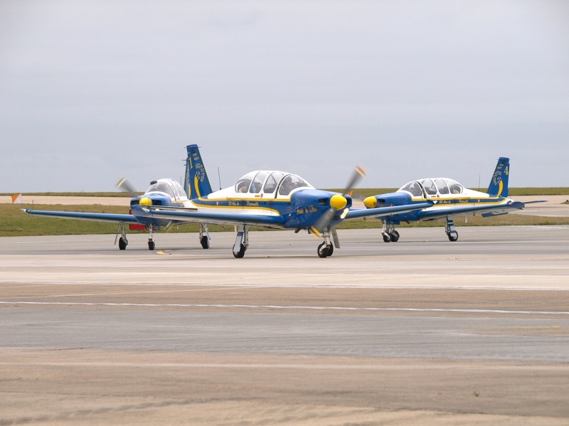 SOCATA TB30 EPSILON CARTOUCHE DORE F-SEZF F-SEXS F-SEXR P9095059(1).jpg