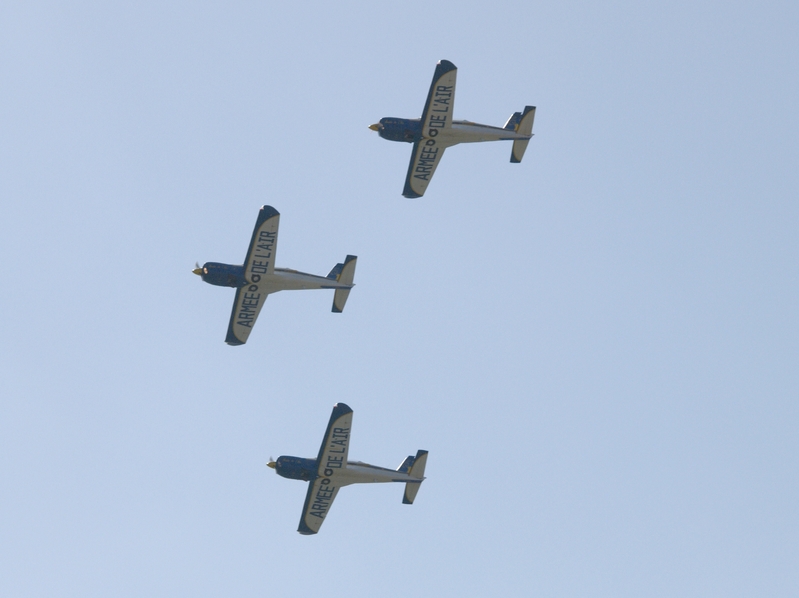 SOCATA TB30 EPSILON CARTOUCHE DORE F-SEZF F-SEXS F-SEXR P9105460(1).jpg