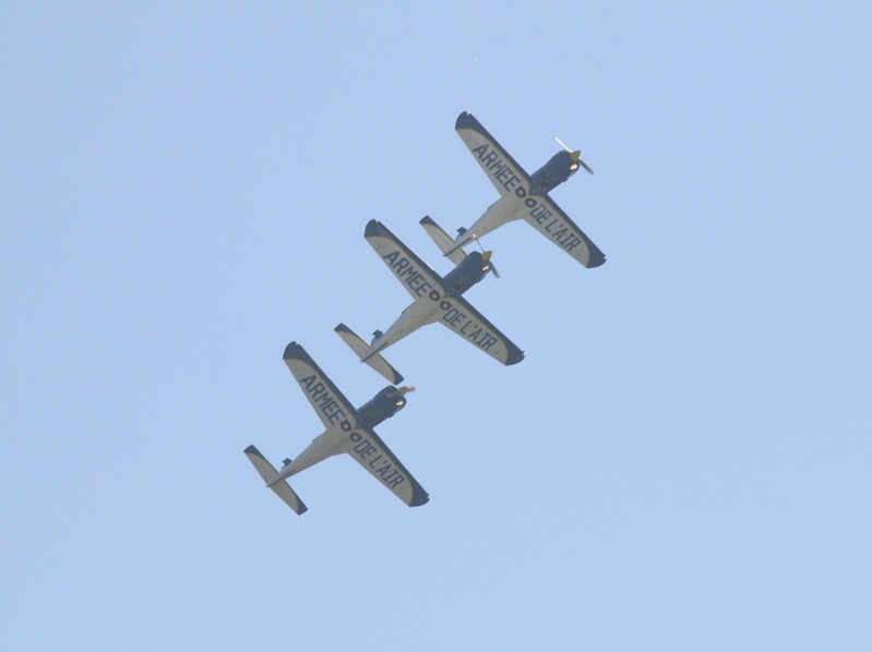 SOCATA TB30 EPSILON CARTOUCHE DORE F-SEZF F-SEXS F-SEXR P9105468(1).jpg