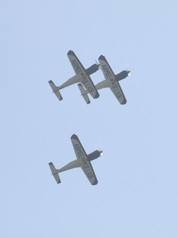 SOCATA TB30 EPSILON CARTOUCHE DORE F-SEZF F-SEXS F-SEXR P9105473(1).jpg