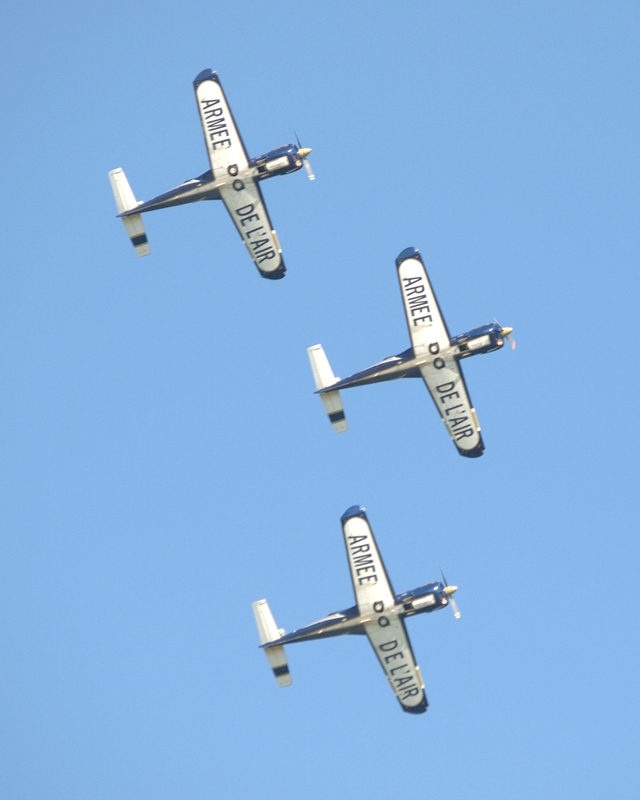 SOCATA TB30 EPSILON CARTOUCHE DORE P5273225(1).jpg