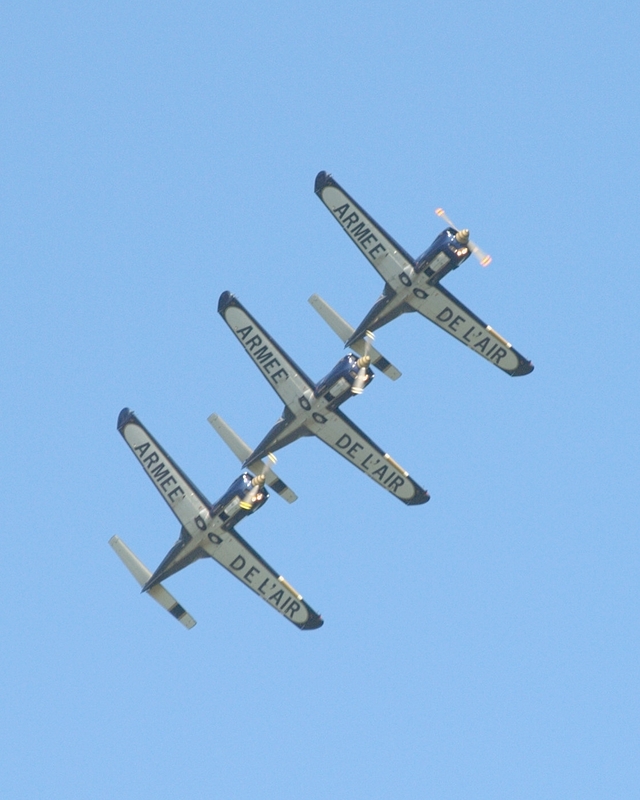 SOCATA TB30 EPSILON CARTOUCHE DORE P5273229(1).jpg