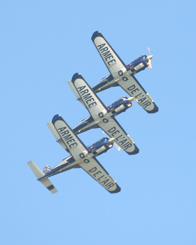 SOCATA TB30 EPSILON CARTOUCHE DORE P5273232(1).jpg