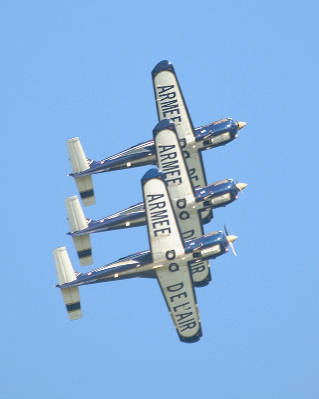 SOCATA TB30 EPSILON CARTOUCHE DORE P5273237(1).jpg