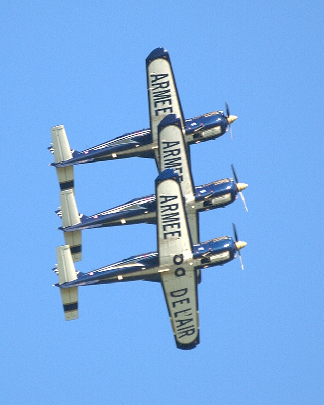 SOCATA TB30 EPSILON CARTOUCHE DORE P5273239(1).jpg