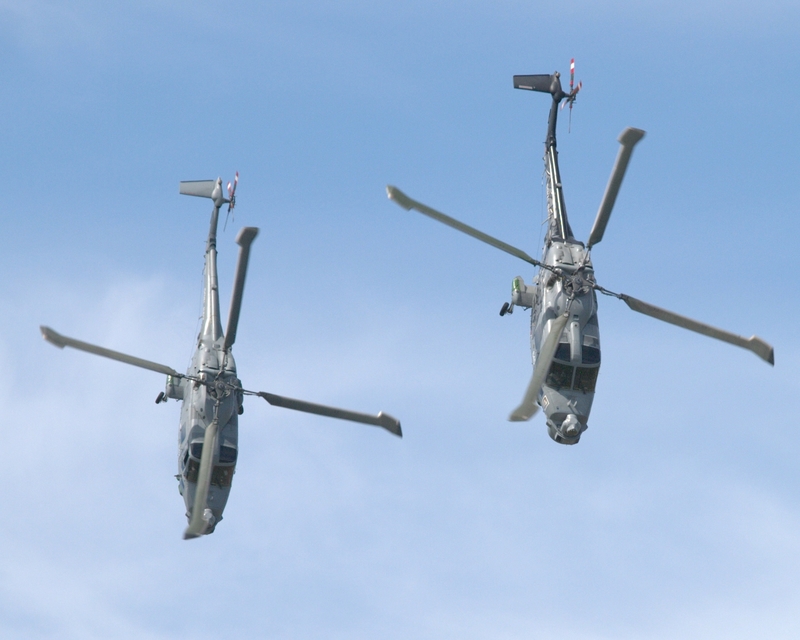 WESTLAND LYNX XZ692 642 XZ722 645 BLACK CATS P6273937(1).jpg