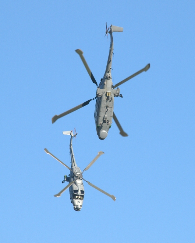 WESTLAND LYNX ZD268 643 XZ697 641 BLACK CATS PA107403(1).jpg
