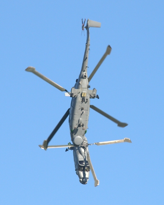 WESTLAND LYNX ZD268 643 XZ697 641 BLACK CATS PA107404(1).jpg