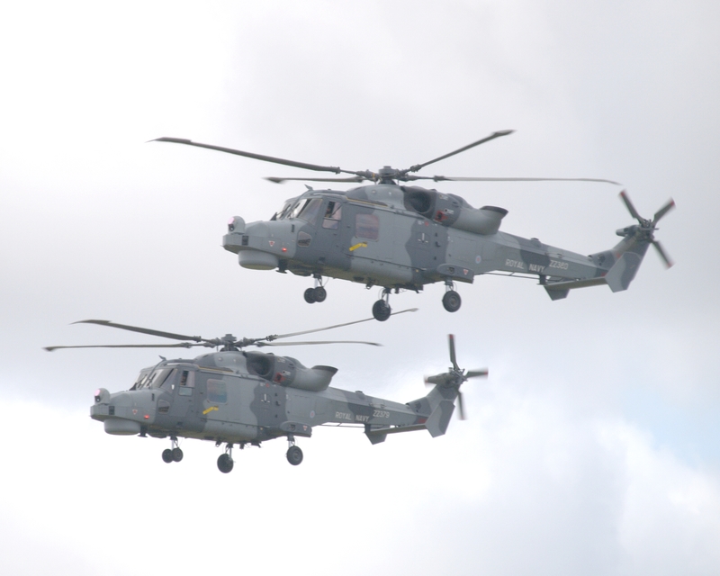 WESTLAND WILDCAT ZZ379 ZZ380 BLACK CATS P1017154.jpg