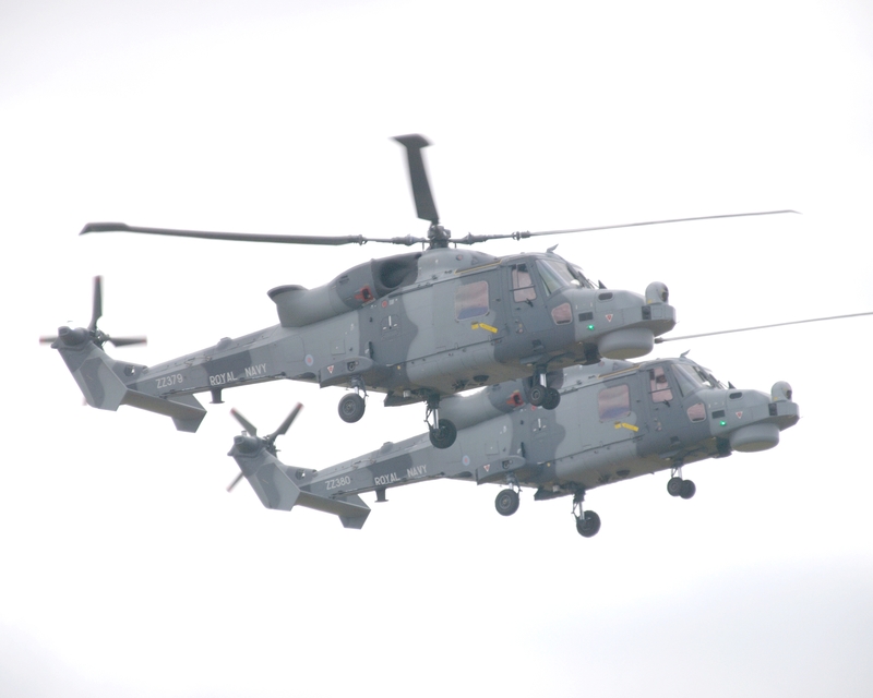 WESTLAND WILDCAT ZZ379 ZZ380 BLACK CATS P1017184.jpg