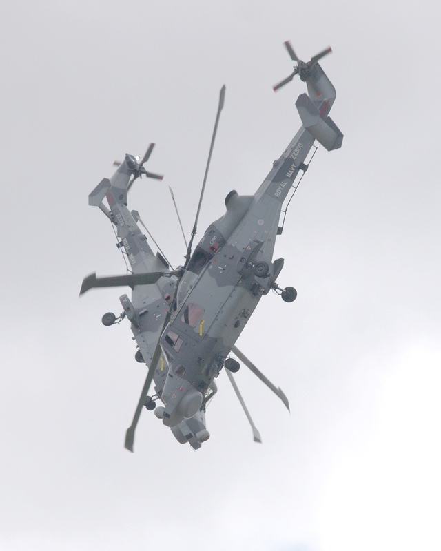 WESTLAND WILDCAT ZZ379 ZZ380 BLACK CATS P1017208.jpg