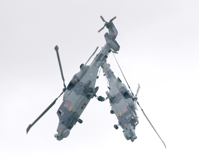 WESTLAND WILDCAT ZZ379 ZZ380 BLACK CATS P1017209.jpg