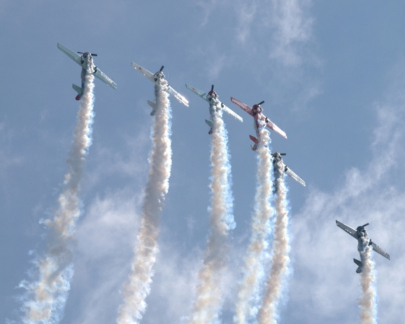 YAKOVLEV YAK 50 AEROSTARS P1013324(1).jpg