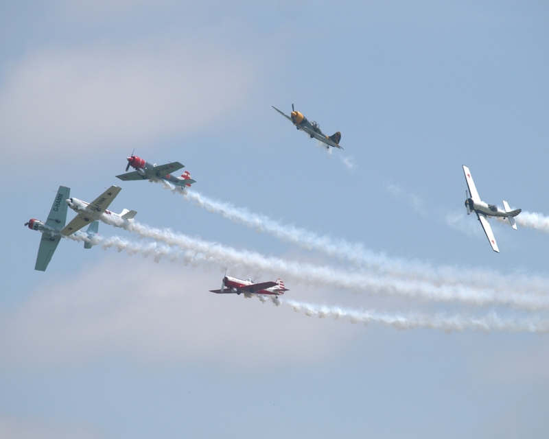 YAKOVLEV YAK 50 AEROSTARS P1013354.jpg
