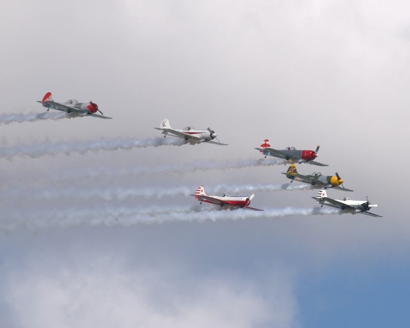 YAKOVLEV YAK 50 AEROSTARS P1013564.jpg