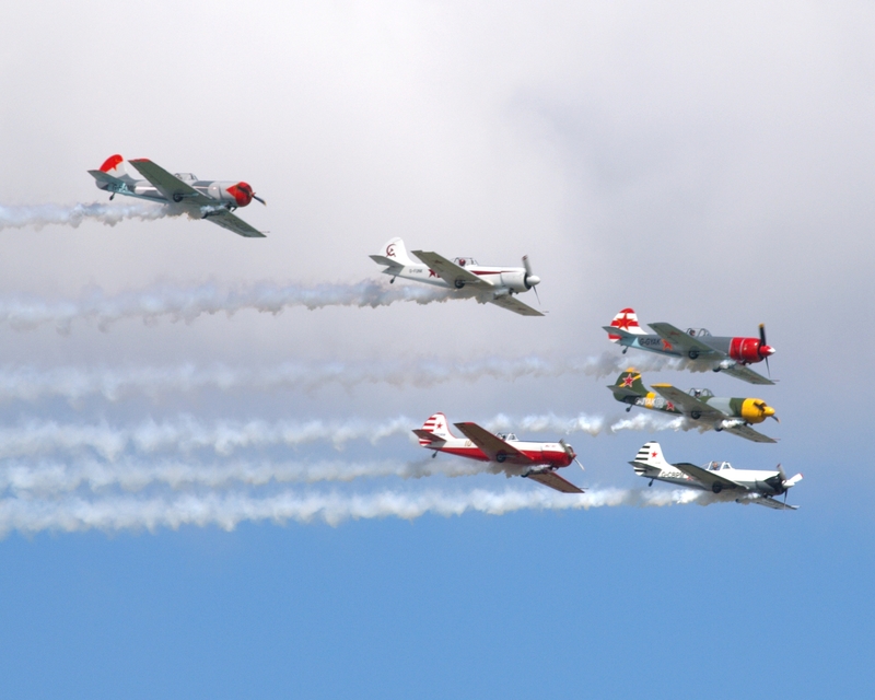 YAKOVLEV YAK 50 AEROSTARS P1013565(1).jpg