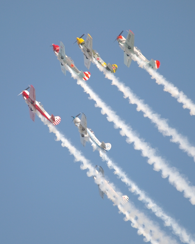 YAKOVLEV YAK 50 AEROSTARS P1019317(1).jpg