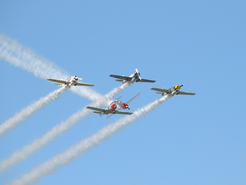 YAKOVLEV YAK 50 AEROSTARS P6148539.jpg