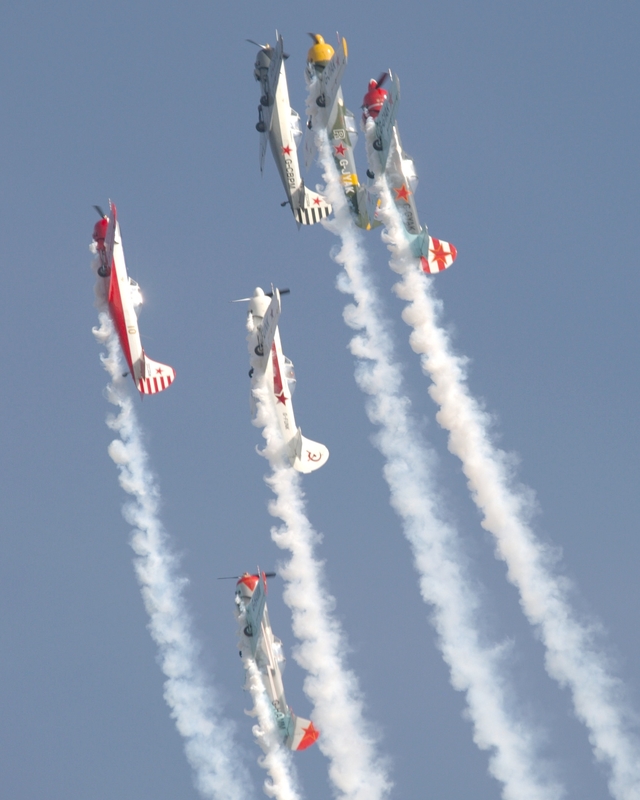 YAKOVLEV YAK 50 AEROSTARS P9038000(1).jpg