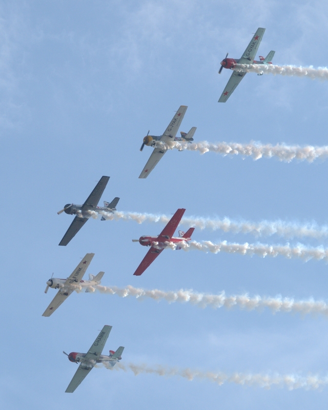 YAKOVLEV YAK 50 AEROSTARS P9055848(1).jpg