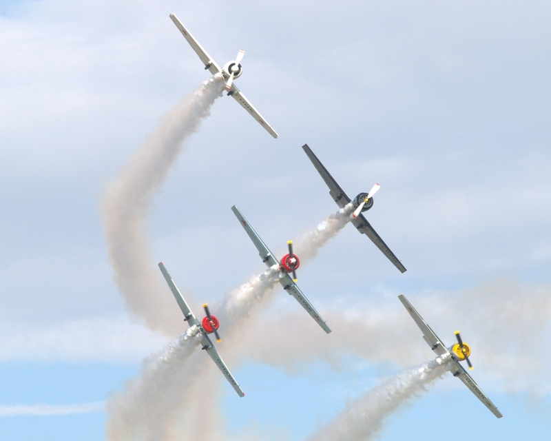 YAKOVLEV YAK 50 AEROSTARS P9055859(1).jpg