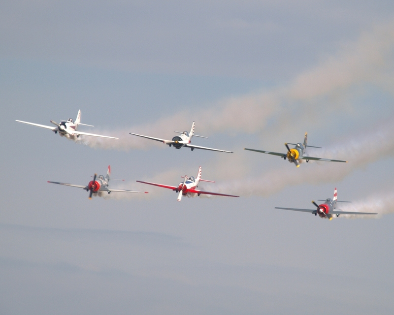 YAKOVLEV YAK 50 AEROSTARS P9055890(1).jpg