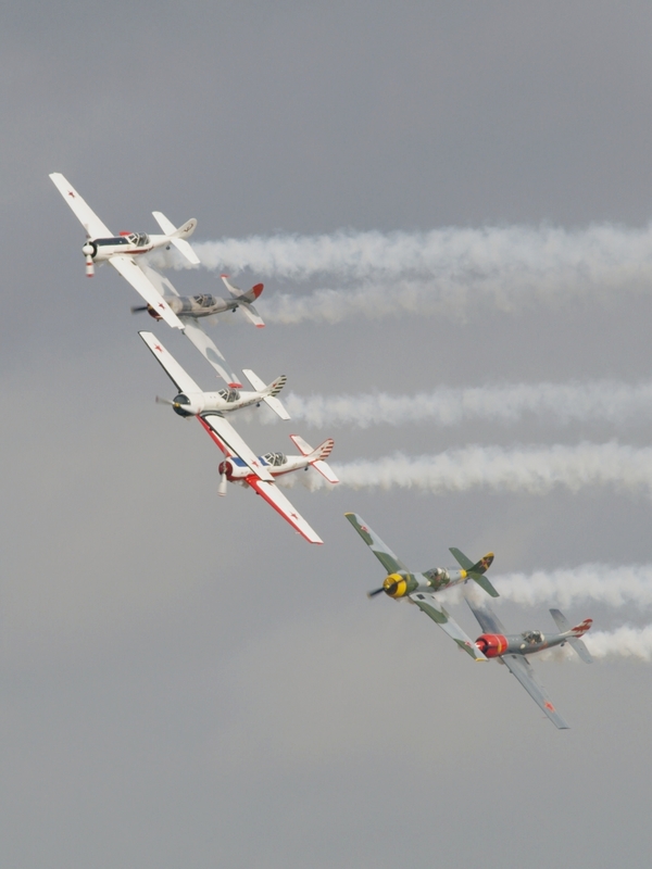 YAKOVLEV YAK 50 AEROSTARS P9073195(1).jpg